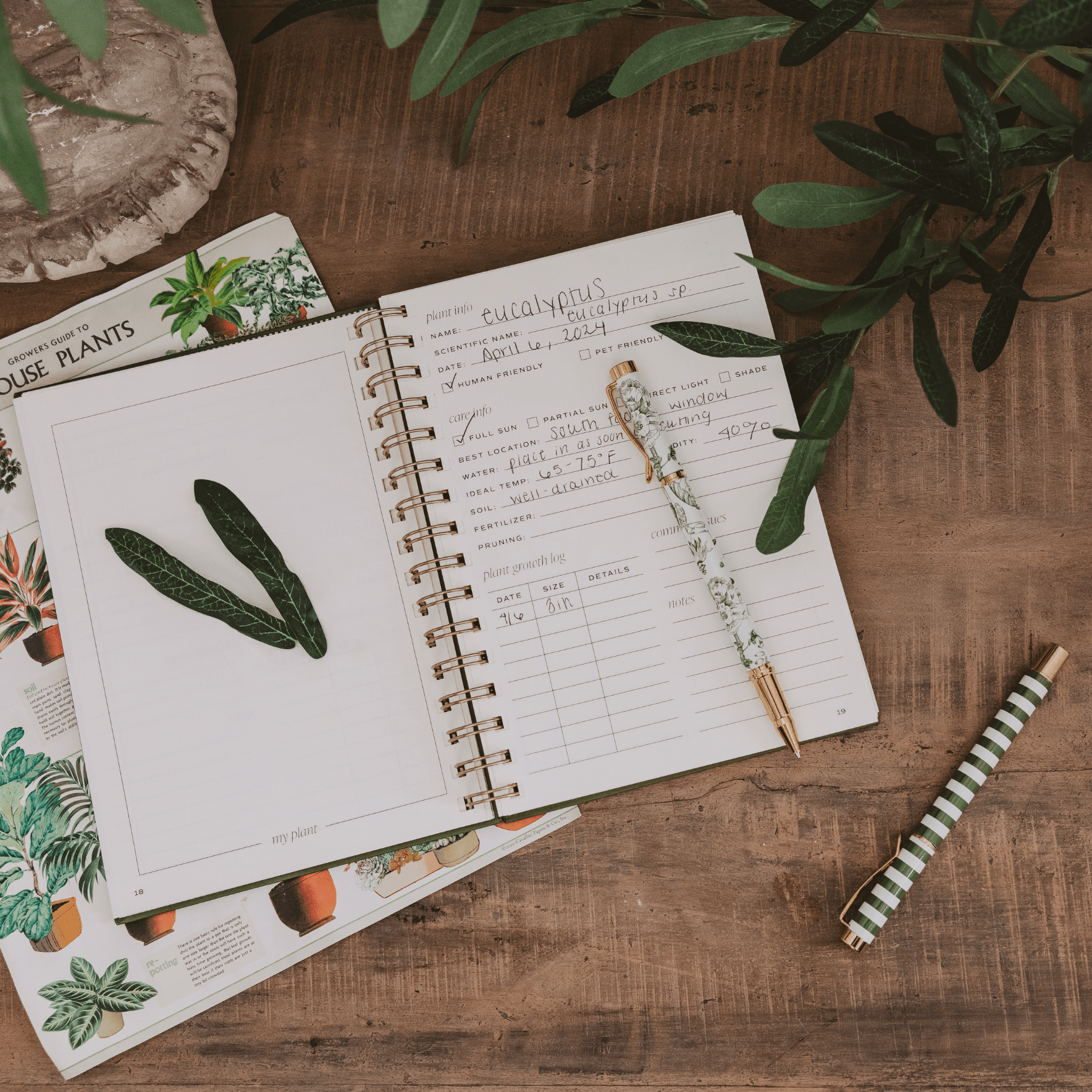 Indoor/Outdoor Plant Journal - HER Home Design Boutique